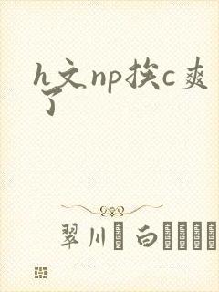 h文np挨c爽了