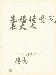 先婚后爱我的市长大人