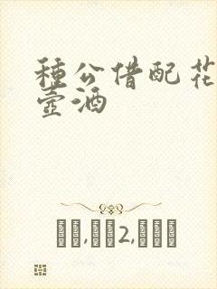 种公借配花间一壶酒