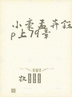 小豪孟卉钰慧三p上79章