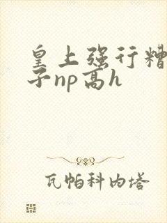 皇上强行糟蹋太子np高h