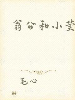 翁公和小莹