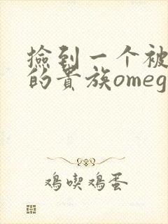 捡到一个被抹布的贵族omega