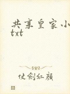 共享皇家小公主txt