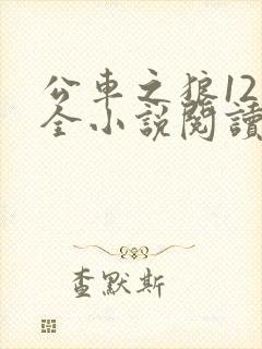 公车之狼12集全小说阅读
