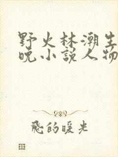 野火林潮生林晚晚小说人物野火