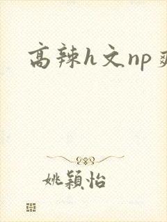 高辣h文np爽