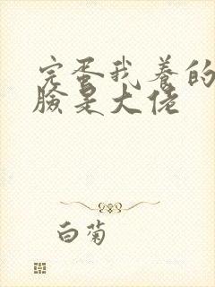 完蛋我养的小白脸是大佬