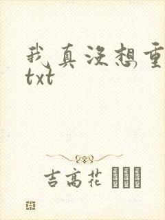 我真没想重生啊txt