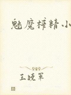 魅魔榨精小说