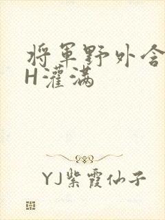 将军野外含公主H灌满