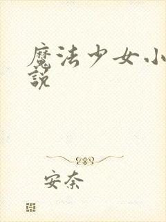 魔法少女小圆小说