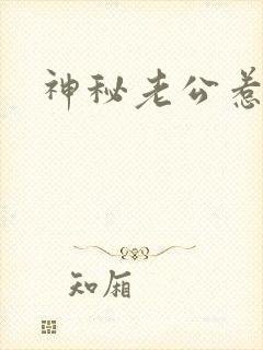 神秘老公惹不起