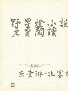 野星灯小说全文免费阅读