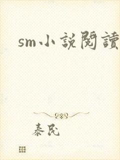 sm小说阅读