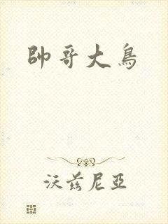 帅哥大鸟
