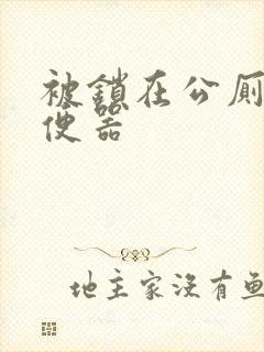 被锁在公厕当坐便器