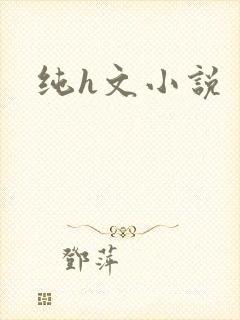 纯h文小说