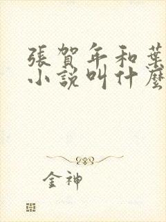 张贺年和叶繁姿小说叫什么名字