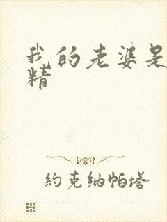 我的老婆是狐狸精