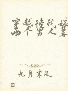 穿越后我嫁给了两个男人暮色酒歌