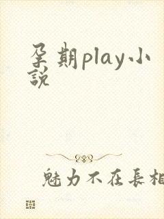 孕期play小说