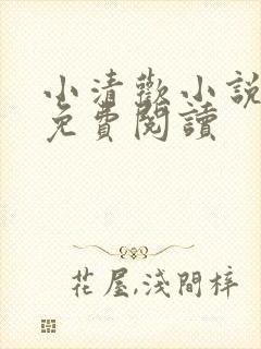 小清欢小说全文免费阅读