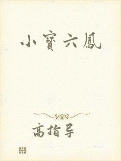 小宝六凤