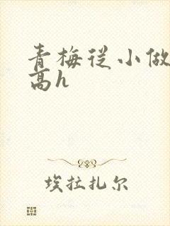 青梅从小做到大高h