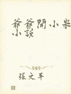 爷爷开小米的包小说