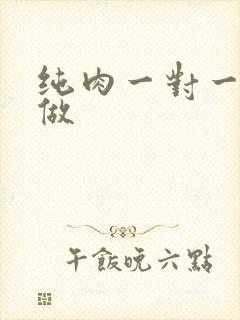 纯肉一对一到处做