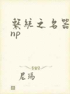 系统之名器攻略np