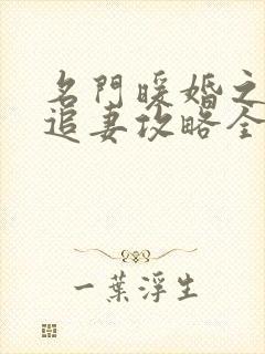 名门暖婚之权爷追妻攻略全文免费阅读