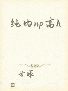 纯肉np高h