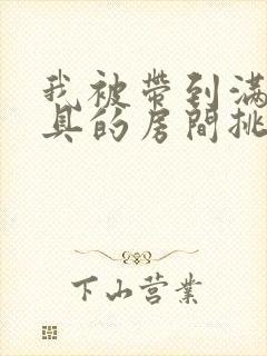 我被带到满是玩具的房间挑调游戏