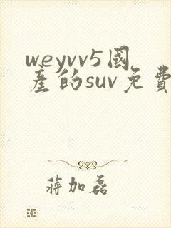 weyvv5国产的suv免费