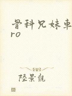 骨科兄妹车多pro