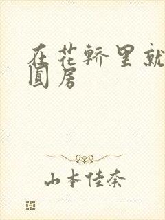 在花轿里就开始圆房