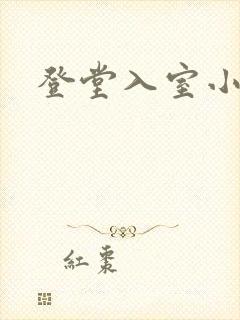 登堂入室小说
