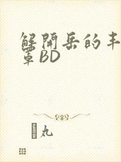 解开岳的丰满奶罩BD