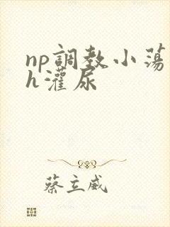 np调教小荡货h灌尿