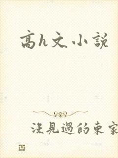 高h文小说