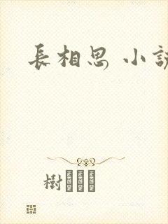 长相思 小说