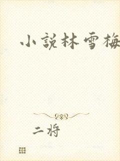 小说林雪梅