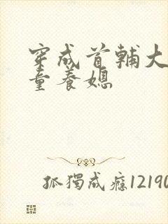 穿成首辅大人的童养媳