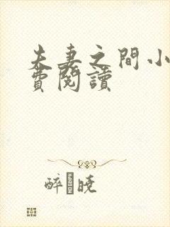 夫妻之间小说免费阅读