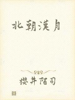 北朝汉月