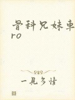 骨科兄妹车多pro