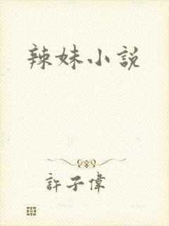 辣妹小说