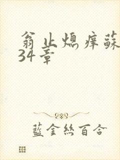 翁止熄痒苏钥第34章